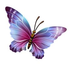 a purple and blue butterfly flying in the sky