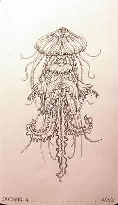 an ink drawing of a jellyfish