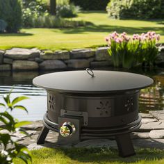 an outdoor fire pit sitting on top of a lush green field next to a pond