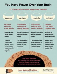 Brain Chemicals, This Is Your Life, Physical Pain, Health Facts