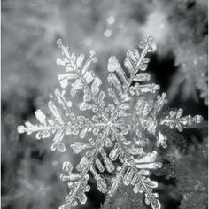 a snowflake is seen in this black and white photo, with the background blurry