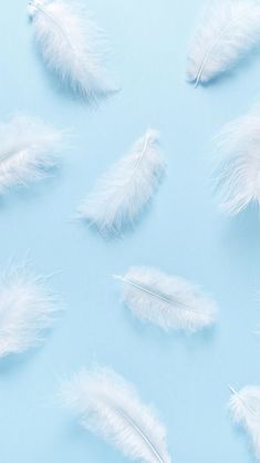 3d Tipografi, Baby Blue Wallpaper, Feather Wallpaper, Baby Blue Aesthetic, Light Blue Aesthetic, Blue Wallpaper Iphone, Blue Aesthetic Pastel, Pastel Pattern, Wallpaper Pastel