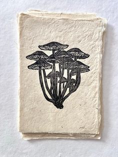 a piece of paper that has some type of plant on it with black ink in the middle