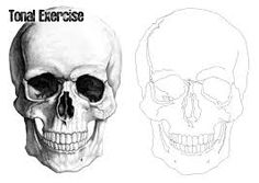 two different types of skulls with the words tonal exercise on them and an image of a