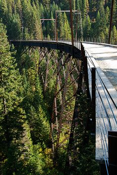 a train traveling over a bridge surrounded by trees