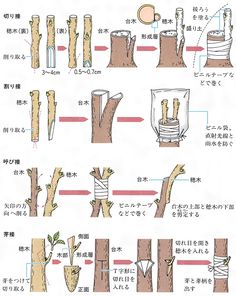 instructions on how to make tree stumps