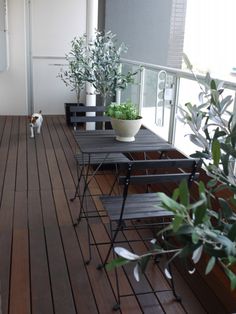 a dog is standing on the wooden floor next to tables and chairs with plants in them