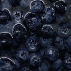 some blueberries are sitting together in the water