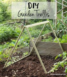 a garden trellis with the words diy garden trelliss in front of it