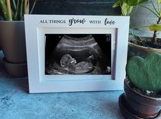 an x - ray image in a white frame next to potted plants