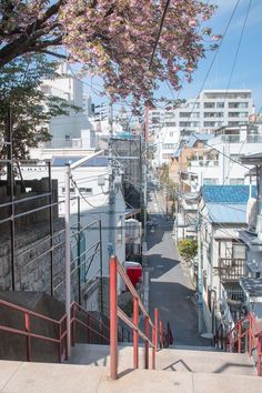 the stairs lead down to an alley with buildings in the back ground and cherry blossoms on the trees