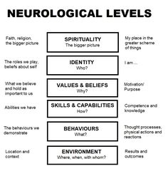 a diagram with the words neurological levels and their corresponding features in each section