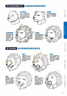 the instructions for how to draw an animal's head in anime style, including lions and