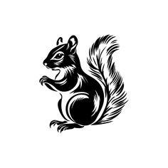 a black and white image of a squirrel on its hind legs, with the tail spread out