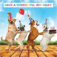 four dogs are standing on their hind legs with birthday hats and balloons in the air