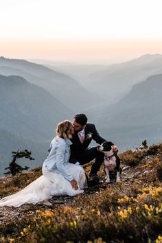 a bride and groom kissing on top of a mountain with their dog