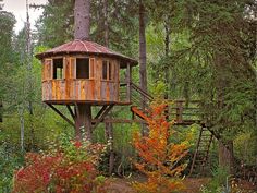 a tree house in the middle of a forest