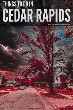 the cover of things to do in cedar rapids, with an image of a tree