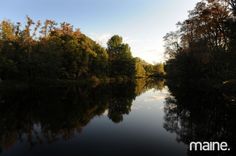 the sun shines brightly in the trees along the water's edge as it reflects on the surface of the river