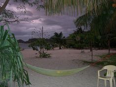 a hammock on the beach with palm trees and water in the background at dusk