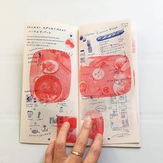 a hand holding an open book with drawings on it