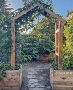 an outdoor garden with wooden planters and trelliss on the sides, surrounded by greenery