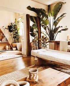 a living room filled with lots of plants and furniture