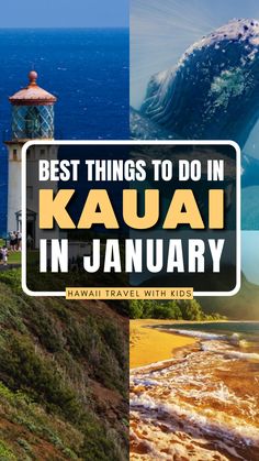 the best things to do in kauai in january