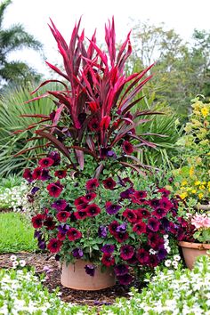 the large potted plant has red flowers in it