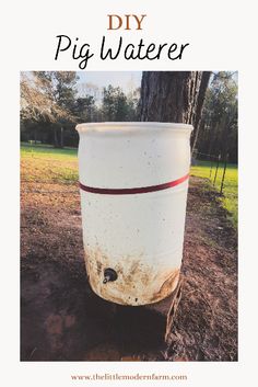 a large white barrel sitting in the dirt next to a tree with text overlay that reads diy pig water