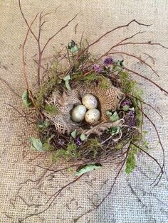 three eggs in a bird's nest on the ground