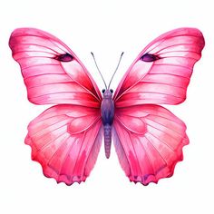 4K Vector Pink Butterfly Clipart in Oil Painting Style Pink Butterfly Art, Butterfly Clipart, Digital Banners, Butterfly Artwork, Butterfly Printable, Butterfly Clip Art, Butterfly Theme, Butterfly Drawing, Art Drawings For Kids