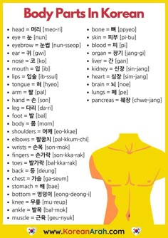 the body parts in korean text on a yellow background with an image of a woman's torso