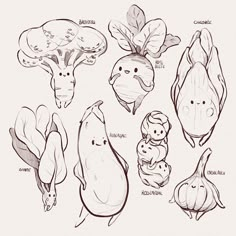 a drawing of different types of vegetables