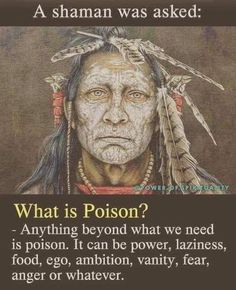 What Is Poison, American Indian Quotes, Indian Quotes, Native American Wisdom, Native American Quotes, Best Pics, Intp, Intj, Quotable Quotes