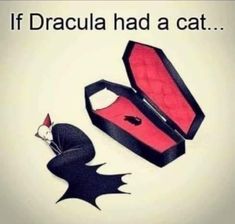 an advertisement with a cat in a box and the caption if dracula had a cat