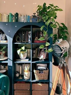 a blue bookcase filled with lots of books next to a green chair and potted plant