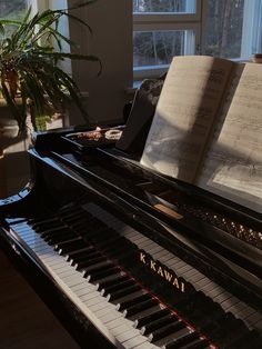 an open book sitting on top of a piano in front of a potted plant