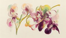 watercolor painting of pink orchids on white paper