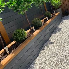 there are many small trees in the planters on this side walk, along with gravel