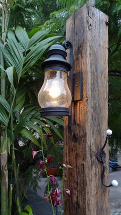 a light that is on the side of a wooden pole in front of some plants