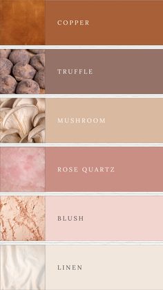 Neutral Colour Palette | Skin Tone Colour Palette | Beauty Colours | Blush & Nude Palette Muted Color Scheme Colour Palettes, Light Blush Wedding Color Schemes, Colour Palette Inspiration Neutral, Desert Pantone Palette, Champagne And Pink Color Palette, Blush And Brown Color Palette, Earth Tones With Pink, Terracotta And Blush Pink, Mauve And Brown Color Palette