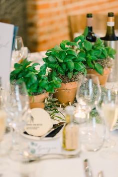 two potted plants sit on top of a table with wine glasses and place settings