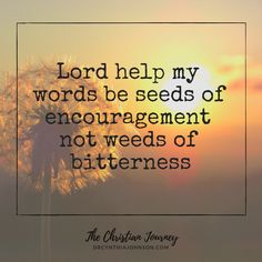 the words lord help my words be seeds of enouragement not weeds of bitterness