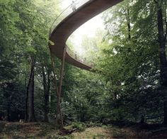 a curved walkway in the middle of a forest with people standing on top of it