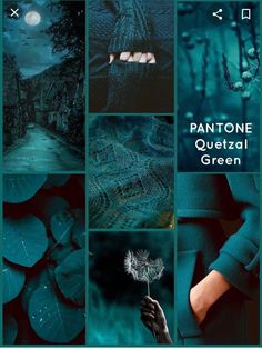 the cover of pantone's quetzal green album, with images of leaves and flowers