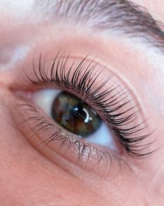 Lash Tint And Lift, Eyelash Lift And Tint, Lash Perm, Eyebrow Lift, Beauty House, Grow Lashes, Brow Styling