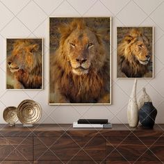 three pictures of lions on a wall above a dresser