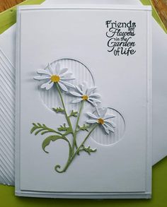 a white card with daisies on it