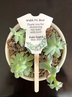 there is a small potted plant with succulents and a sign that says, thank you for showering our baby with love